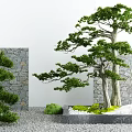 Courtyard Garden Featuring Pine Trees Stone Wall Gravel and Mossy White Stones