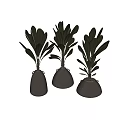 Broad Green Leaf Bonsai Potted Plants in Clay Pots with Handle Design