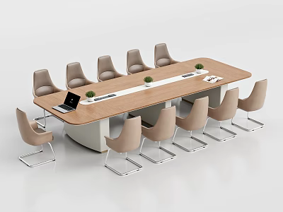 Modern Wooden Conference Table With Light Colored Chairs Small Green Plants And Laptop 3d model