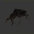 Shiny Metallic Beetle Model With Detailed Legs And Antenna On Gray Background