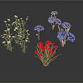 Decorative Plants With White Flowers Green Stems Blue And Red Blooms Against White Background