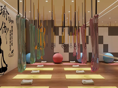 Yoga Fitness Studio With Colorful Hammocks Balls And Mats On Wooden Flooring 3d model