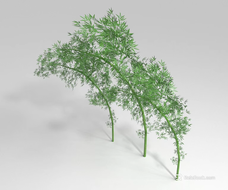 Green Bamboo Plants With Curved Stems And Lush Green Leaves 3d model 