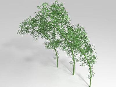 Green Bamboo Plants With Curved Stems And Lush Green Leaves 3d model