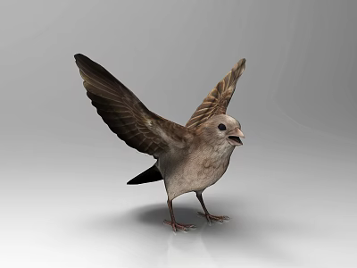 Flying Bird with Spread Wings Standing on Reflective Surface Against Gray Background 3d model