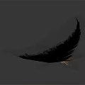 Single Vibrant Orange Feather Hair With Detailed Texture And Gloss On White Background