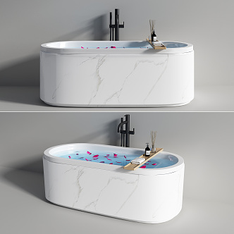 Modern Bathtub 3d model