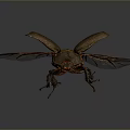 Detailed Brown Beetle With Open Wings And Long Legs On Dark Background