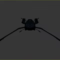 Advanced Dark Futuristic Spacecraft With Large Wing Structure For Interstellar Missions
