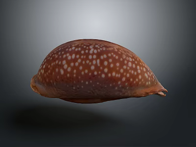 Detailed Biological Organ With Fine Hair Texture And Natural Surface Features 3d model