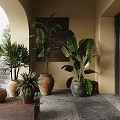 Potted Palm And Banana Leaf Plants In Terracotta And Gray Pots On Stone Floor