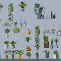 Various Indoor Potted Plants With Hanging Styles And Decorative Pots Collection
