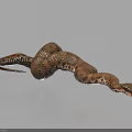 Detailed Brown Coiled Snake With Pattern On Light Background As Reptile Example 3d model