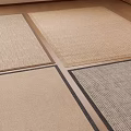 Middle Style Carpet 3d model