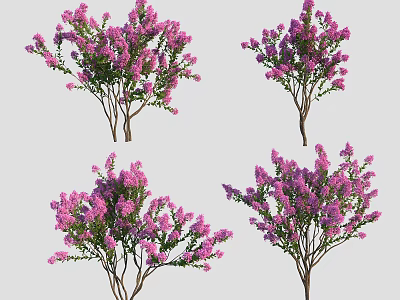 Vibrant Purple Flowering Trees With Lush Branches And Colorful Blooms 3d model