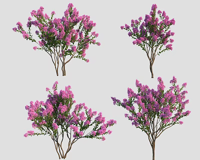 Vibrant Purple Flowering Trees With Lush Branches And Colorful Blooms 3d model