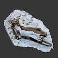 Natural Scene With Weathered Log Covered In Snow And Green Moss