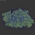 Lush Green Shrub With Dense Foliage And Vibrant Leaf Structure