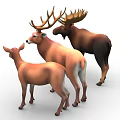 Three Deer Group With Different Sizes And Brown Fur Standing Together