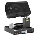 High Quality Professional Wireless Audio Speaker System With Microphone And Stands