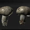 Two White Mushrooms With Bumpy Surface And Soil On Stem Isolated On Dark Background 3d model