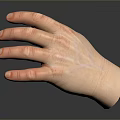 Advanced Medical Devices Featuring Hand Reflection for Clinical Examination Procedures 3d model