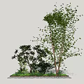 Modern Tree Landscape Tree 3d model