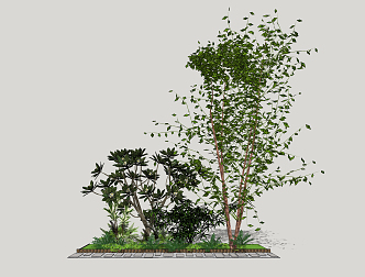 Modern Tree Landscape Tree 3d model