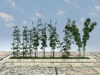 Modern Bamboo Landscape Bamboo Plants 3d model