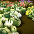 Colorful Small Plants with Mixed Colored Flowers and Green Leaves Growing Together on Brown Background