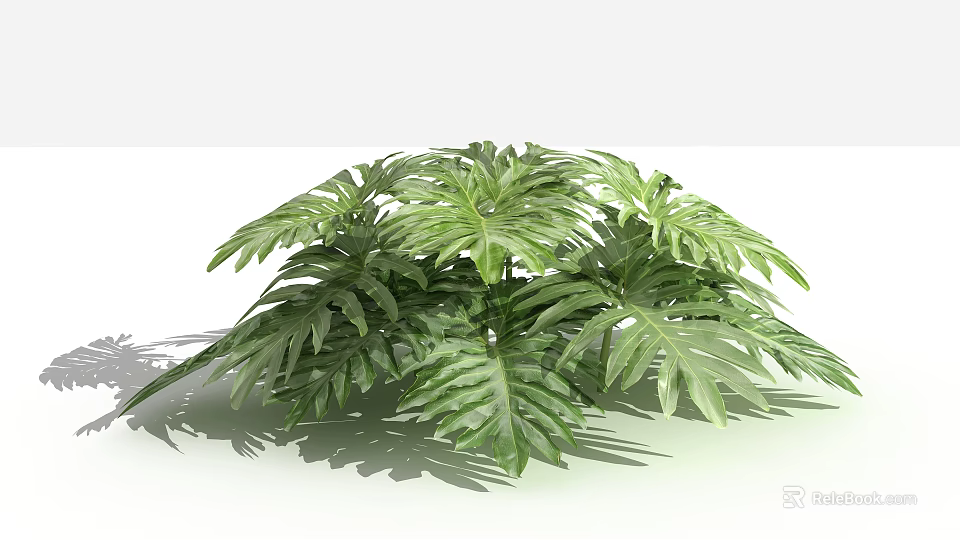 Lush Green Shrub With Large Tropical Leaves In Garden Landscape 3d model 