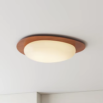 Modern Middle Aged Ceiling Lamp 3d model