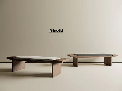Minotti Modern Wooden Shoe Benches With Contrast Seat Colors And Simple Design Structure 3d model