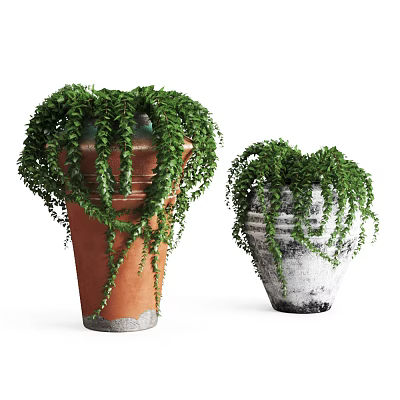 Modern Potted Plant 3d model Modern Potted Plant 3d model