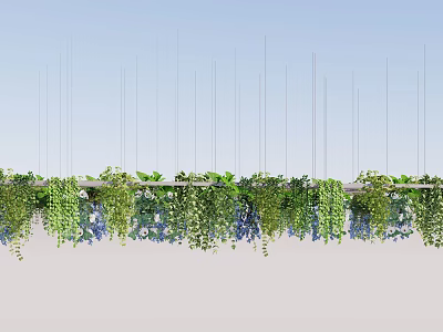 Beautiful Hanging Basket Plants with Lush Green Foliage and Trailing Vines 3d model