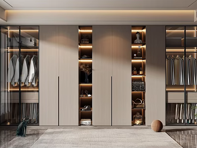 Modern Elegant Wardrobe Interior Design With Glass Doors Wooden Panels And Built in Lighting 3d model