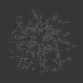 Lush Green Grass Clump Growing On Black Background With Natural Texture
