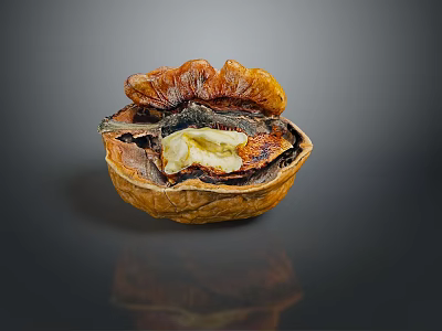 Opened Walnut with Brown Shell and Visible Yellow Kernel on Dark Background 3d model