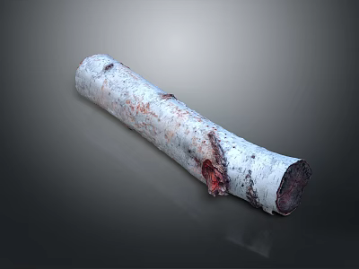 Natural Birch Log With White Bark And Red Spots Showing Rustic Texture 3d model