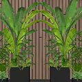 Tall Banana Plant Pots With Small Potted Plants Against Wooden Wall And Light Strips