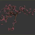 Beautiful Tree With Pink Flowers And Brown Trunk On Gray Background With Reflection