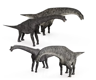 Modern Dinosaurs 3d model
