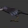 Purple Raven Flying with Spread Wings and Sharp Claws on Dark Background 3d model