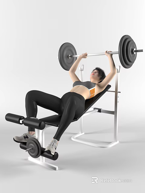 Woman Performing Barbell Bench Press Exercise On Weight Bench In Gym Workout Routine 3d model 