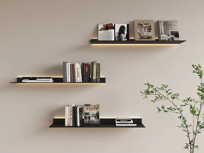 Stylish Black Wall Cabinets With Books Photos On Light Beige Wall And Green Plant 3d model