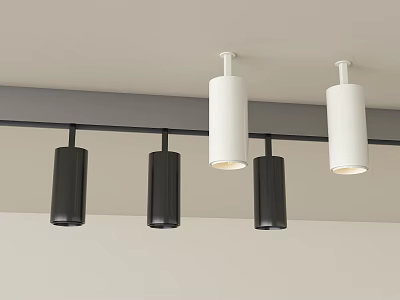 Modern Black and White Downlights and Spotlights Track Mounted Ceiling Lighting Design 3d model