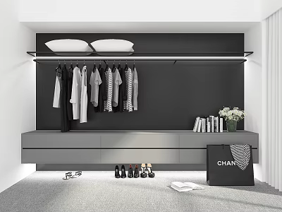 Modern Closet Design With Hanging Clothes Lower Drawer Cabinet Books Flowers And Shoes On Black Wall 3d model
