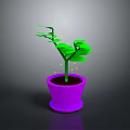 Green Potted Plant With Vibrant Leaves In Purple Flower Pot On Gray Background