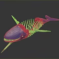 Detailed Whale Skeleton Model with Blue Head Tail Red Decoration and Golden Bones