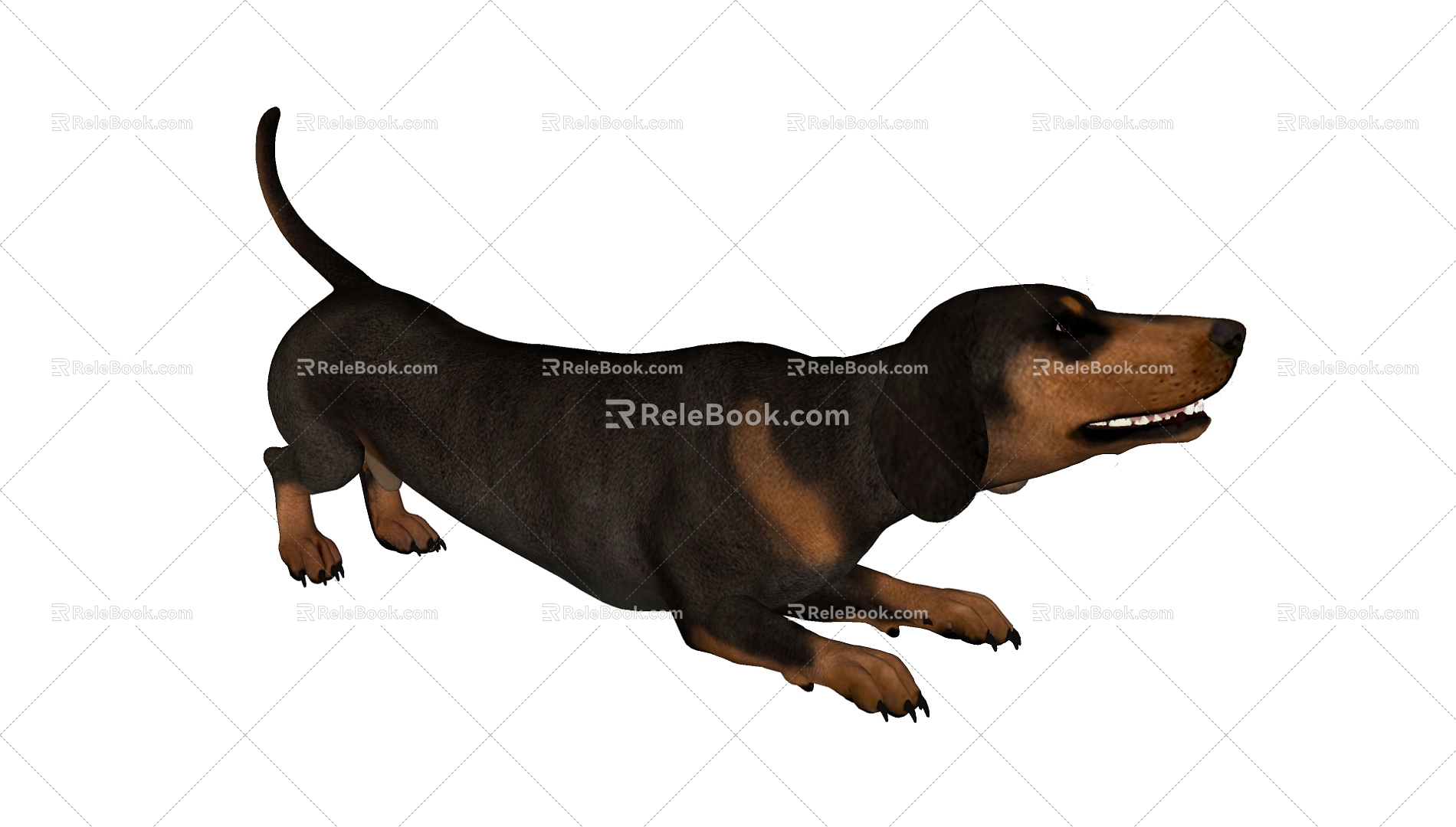 Dog 3d model